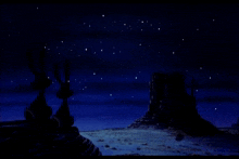 a couple of birds standing on top of a mountain looking at the stars