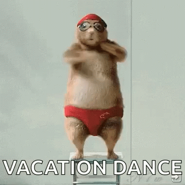 Vacation Funny Animals Gif - Vacation Funny Animals Dance Gifs