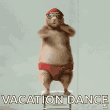 On Vacation Meme GIFs | Tenor