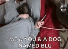 Dog Texting GIF - Dog Texting Meand You GIFs