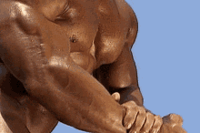 male bodybuilders muscles beefcake shaved posing