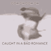 Bad Romance GIF