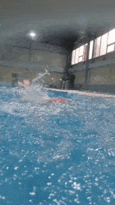 Teona Swimming GIF - Teona Swimming Swim GIFs