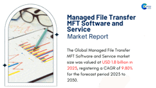 Managed File Transfer Mft Software And Service Market Report 2024 GIF - Managed File Transfer Mft Software And Service Market Report 2024 GIFs