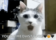 a picture of a cat with the words you da meowst fine below it