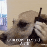 Carleon Telsiz GIF