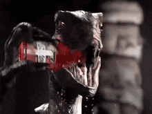 GIF