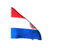 Bandera Paraguay GIF - Bandera De Paraguay GIFs