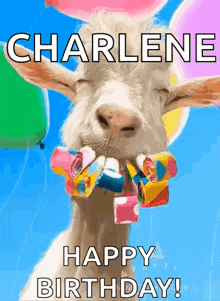 a goat is wearing balloons and party horns and says happy birthday .