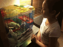 Hamster Mary GIF - Hamster Mary Linh GIFs