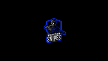 Nerfed Snipes Logo GIF