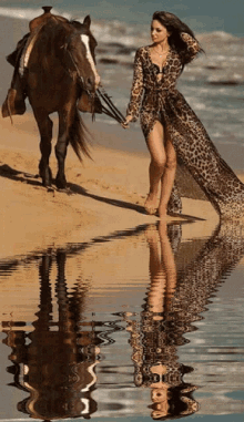 Woman On Beach With Q Horse Horse GIF