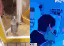 Sunakook Cat GIF - Sunakook Cat Taehyung GIFs