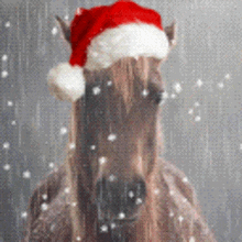 Crying Horse GIF - Crying Horse Christmas GIFs