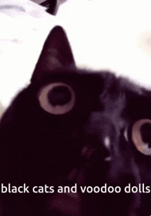 a black cat with the words black cats and voodoo dolls on the bottom
