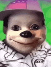 a person wearing a mickey mouse mask and a pink hat .