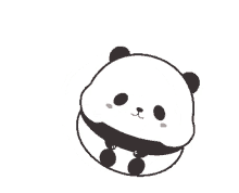 panda rolling cute baby funny
