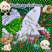 a picture of a cartoon character with the words " can 't rage bait me i am at peace "