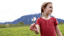Play With Dandelion Claire Crosby GIF - Play With Dandelion Claire Crosby Claire And The Crosbys GIFs