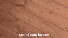 Sealed Away GIF - Sealed Away Forever GIFs