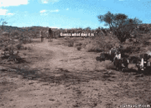 a picture of a desert with the words guess what day it is on the bottom