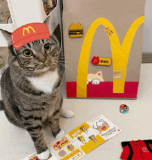 a cat wearing a mcdonald 's hat and headset .