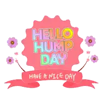 a pink sign that says hello hump day with purple flowers