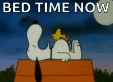 a cartoon of snoopy and woodstock laying on top of a doghouse .