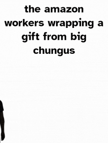 The Amazon Workers Wrapping A Gift From Big Chungus Echo Project GIF - The Amazon Workers Wrapping A Gift From Big Chungus Echo Project Chase GIFs