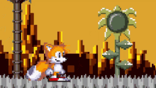 Tails Sonic GIF - Tails Sonic Exe GIFs