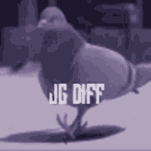 Jddiff GIF