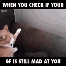 Cats Animation GIF - Cats Animation Still Mad GIFs