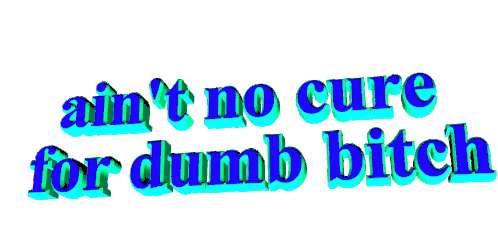 No Cure Dumb Bitch Sticker - No Cure Dumb Bitch Stickers