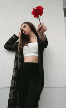 Merve1 GIF - Merve1 GIFs