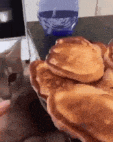a cat is looking at a pile of pancakes on a table .
