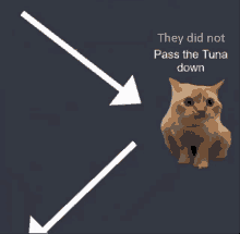 Tuna Pass The Tuna GIF - Tuna Pass The Tuna Cat GIFs