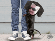 Yes Hell GIF - Yes Hell Dog GIFs