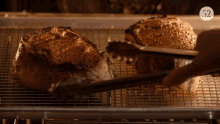 Grill Cook GIF - Grill Cook Turn Over GIFs