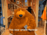 This Bear Smells Rentner GIF - This Bear Smells Rentner GIFs