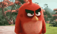 #emburrado / Angry Birds / Irritado / Nervoso GIF - Grumpy Angry Birds GIFs