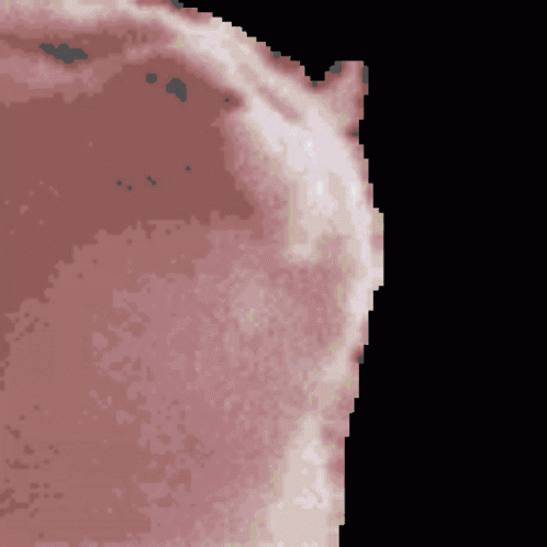 Tenor - 