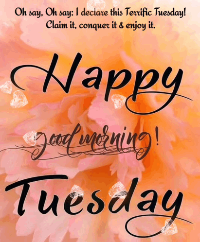 Happy Tuesday Good Tuesday Morning GIF - Happy tuesday Good tuesday morning  - Discover & Share GIFs