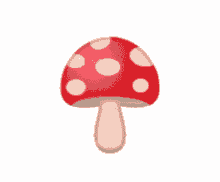 food mushroom