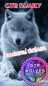 a picture of a white wolf says gtr wolves