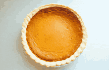 Pumpkin Pie Thanksgiving GIF