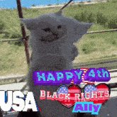 a picture of a cat that says happy 4th