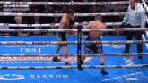 two boxers in a boxing ring with everlast auto parts on the ropes