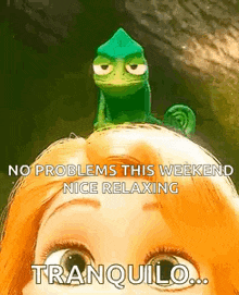 a lizard is sitting on the head of a woman .