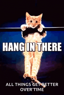 a cat is hanging upside down on a bar with the words hang in there all things get better over time