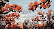 a picture of a tree with the words have a wonderous day in christ above it